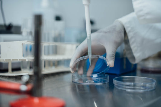 Health Benefits Of Kava