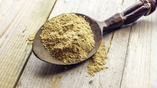 Instant kava powder