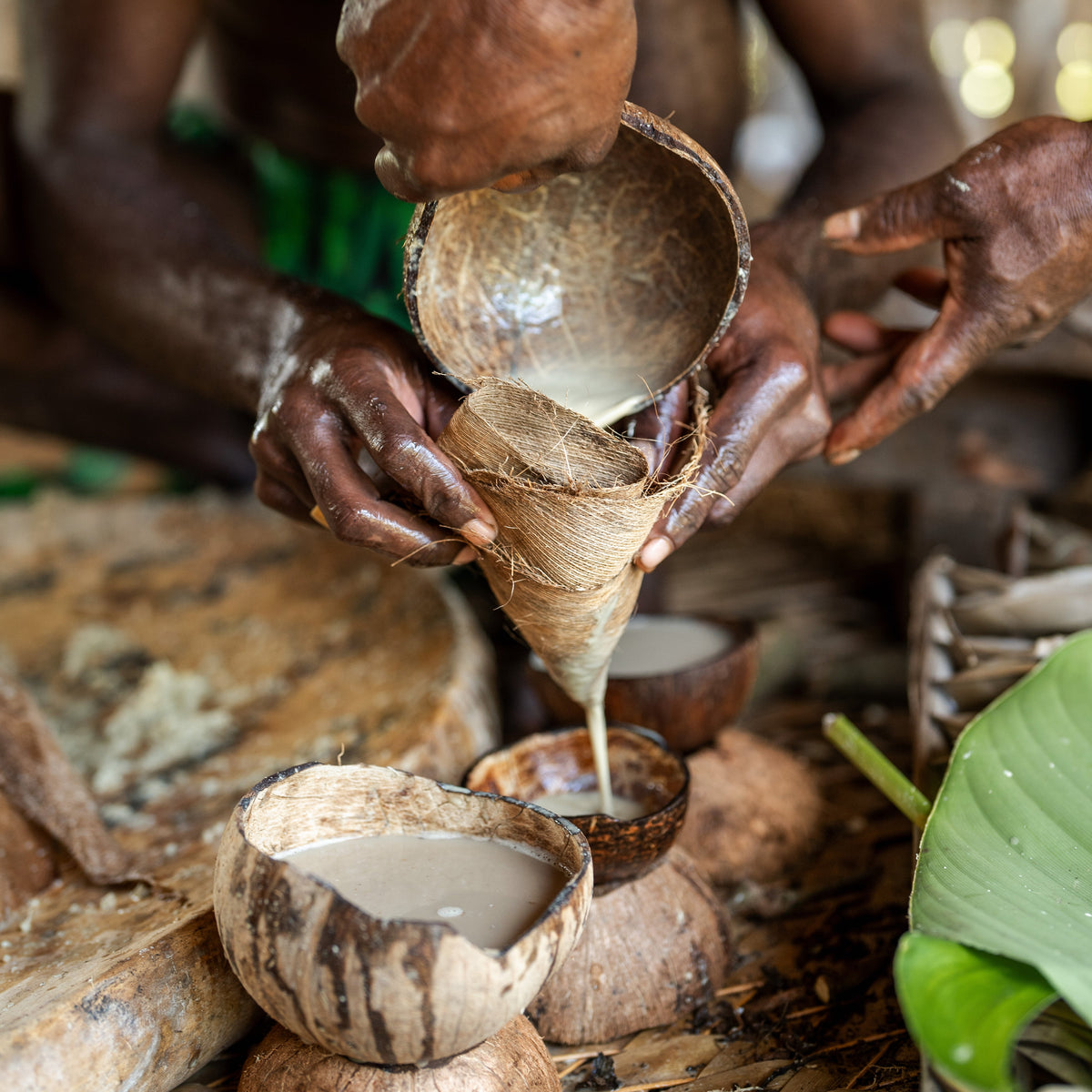 Kava Rice Root & Pestle Kava | Premium Kava Australia