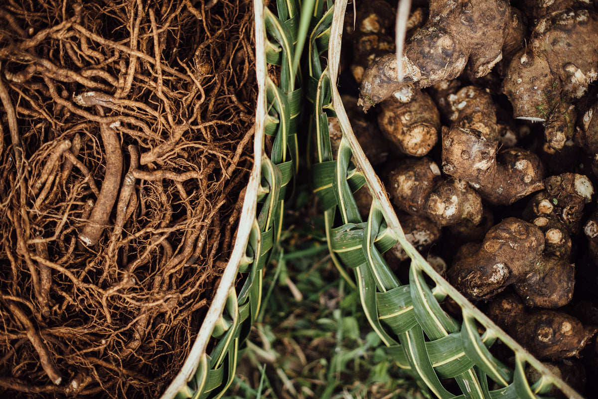 Our Kava Story | Root & Pestle Kava