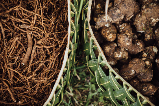 Our Kava Story – About Root & Pestle | Root & Pestle Kava